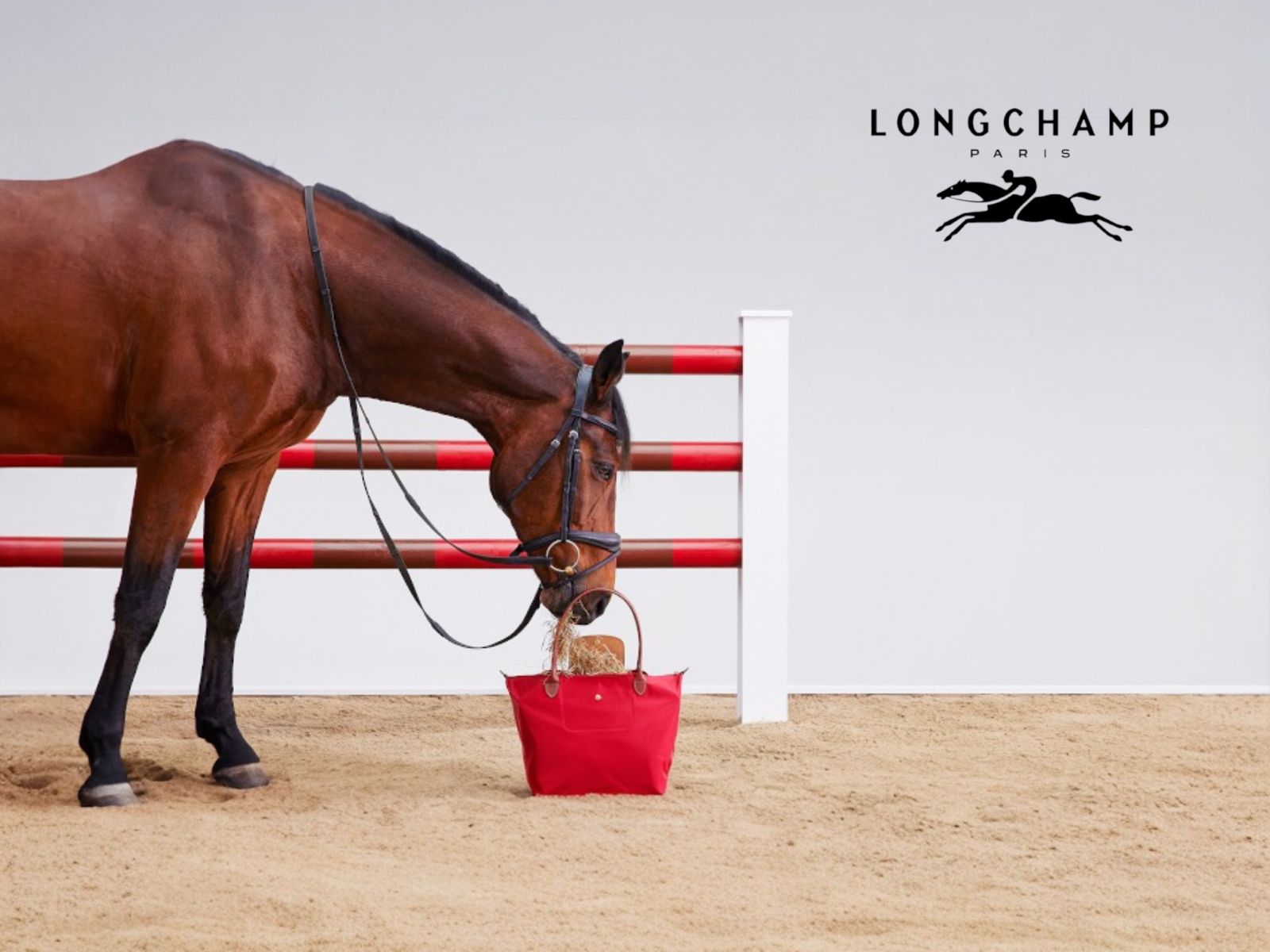 Produtos Furla você encontra na Vivi di Colori